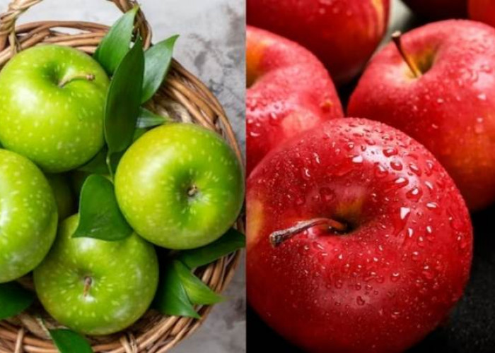 Fakta Menarik Buah Apel Merah dan Apel Hijau yang Kaya Vitamin C, Bagus Buat Kesehatan Tubuh