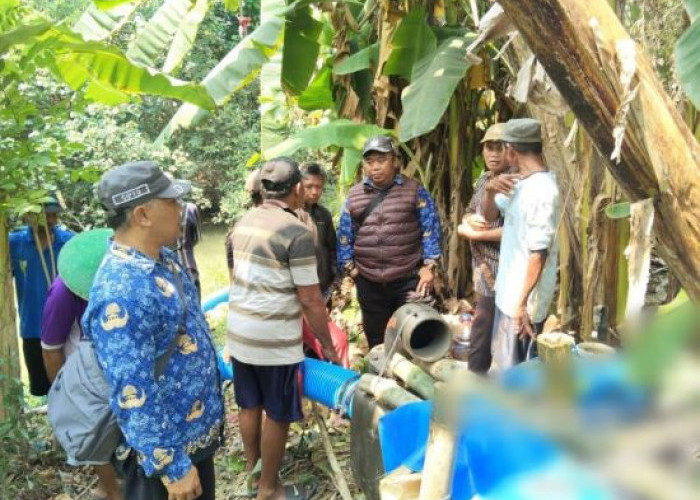 Gagal Panen Mengintai! 40 Hektare Sawah Sumub Kidul Diselamatkan Pompa DKPP