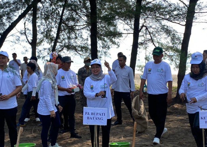 Abrasi Hingga 150 Meter, Pemkab Batang Gencarkan Penghijauan Tepi Pantai 