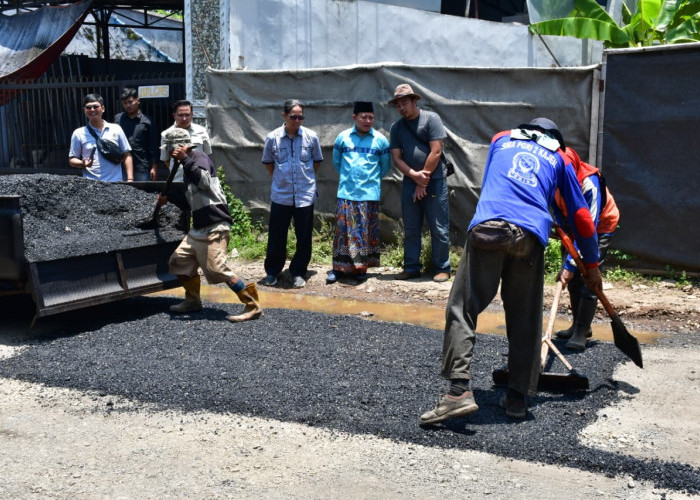 Plt Bupati Pekalongan Tinjau Pekerjaan Perbaikan Jalan Kertoharjo - Karangdadap, Dikebut Jelang Lebaran