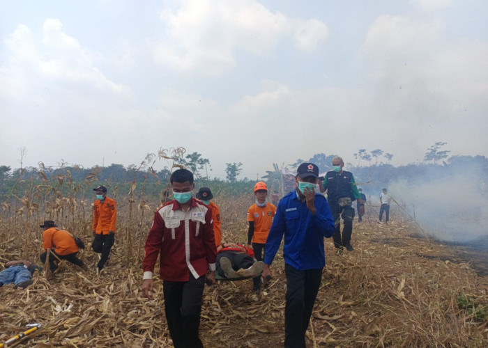 30 Karhutla Terjadi di Batang hingga September, Tim Gabungan Gelar Simulasi