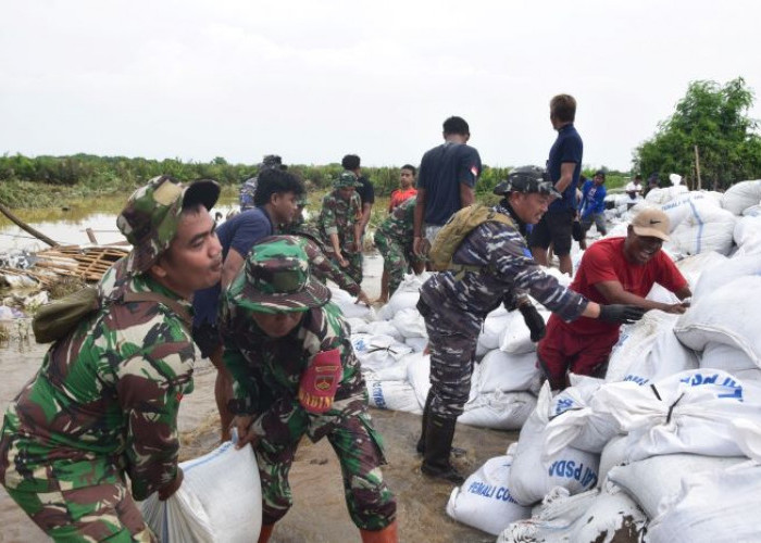 Tanggul Darurat Dibuat, Banjir di Pesisir Wonokerto Pekalongan Mulai Surut