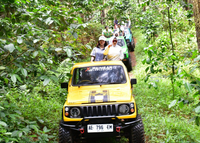 Eksplor Wisata Di Kecamatan Paninggaran, Bupati Fadia Arafiq Bersama Awak Media Naik Jeep Lewati Hutan