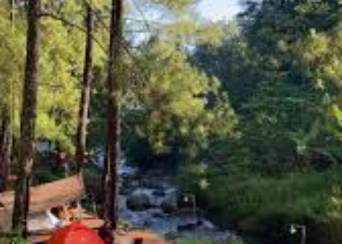 Ragam Destinasi Wisata untuk Rayakan Pergantian Tahun di Pekalongan yang Terjangkau