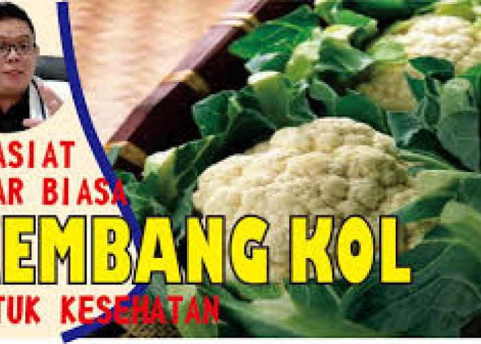 Manfaat Kembang Kol untuk Kesehatan Tubuh, Apa Saja? Yuk Simak