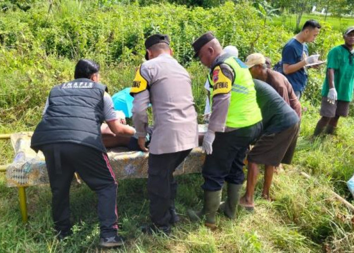 Buruh Tani Ditemukan Tewas di Sawah di Desa Kutosari