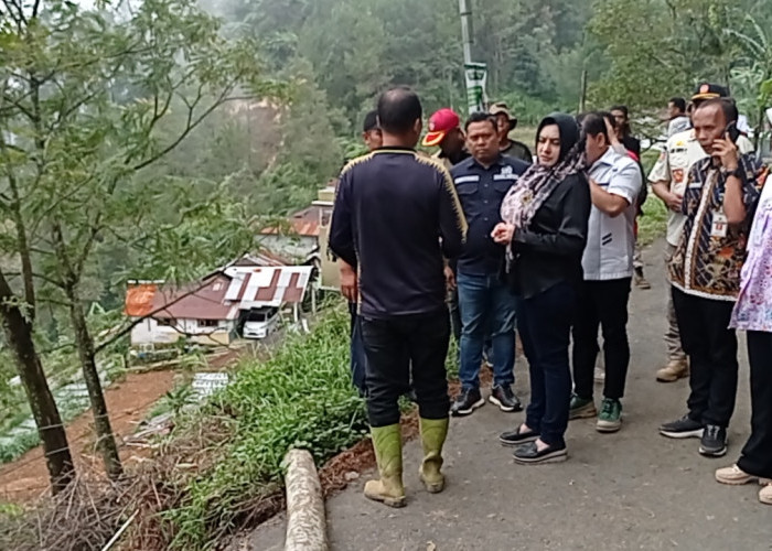 Wakil Ketua DPRD Ruben Tinjau Langsung ke Lokasi Bencana Longsor di Petungkriyono