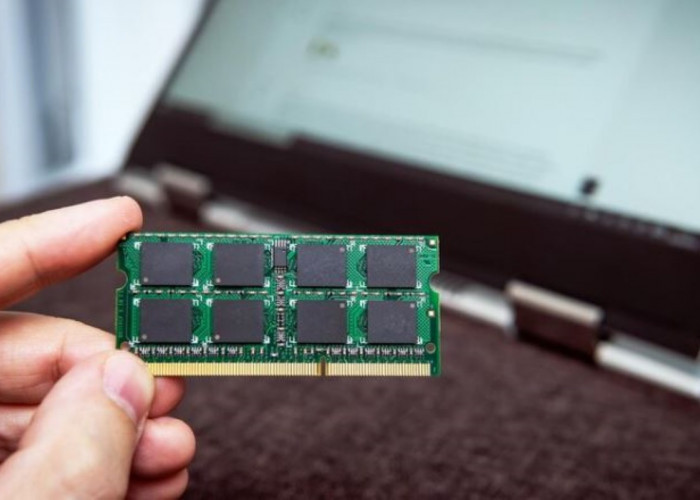 Berapa Kapasitas RAM Laptop yang Ideal? Berikut Tips Memilih RAM Laptop yang Sesuai Kebutuhan