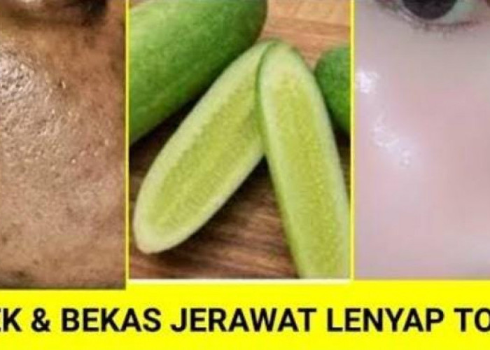 Begini Cara Pakai Mentimun untuk Menjaga Kulit Agar Tetap Awet Muda, Tambahkan 1 Bahan untuk Manfaat Maksimal