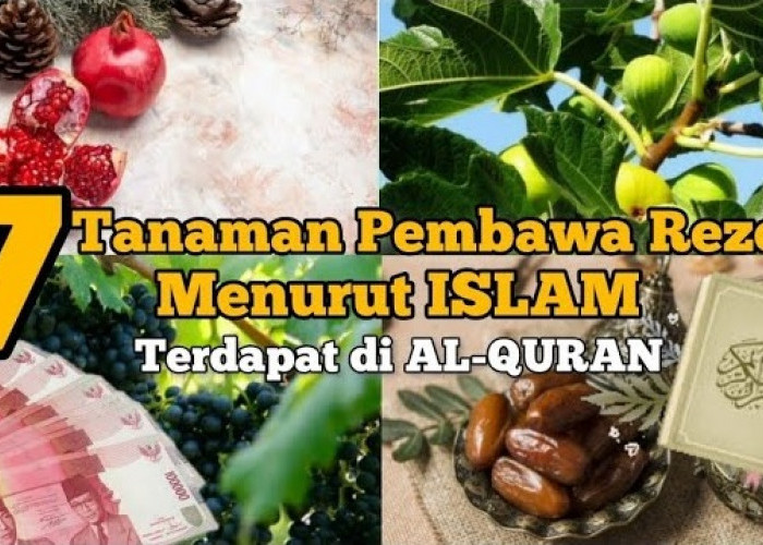 Sudah Disebutan di Al-Qur'an, Inilah 7 Tanaman Pembawa Rezeki Menurut Islam, Muslim Wajib Banget Baca Ini