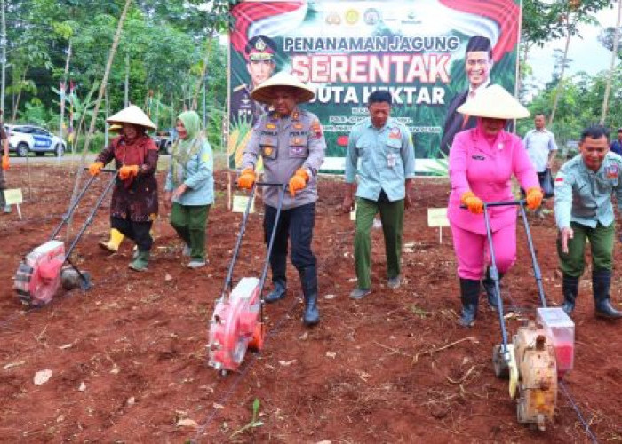 Dukung Swasembada Pangan, Polres Pekalongan Tanam Jagung Serentak 1 Juta Hektar di Lahan PTPN Blimbing