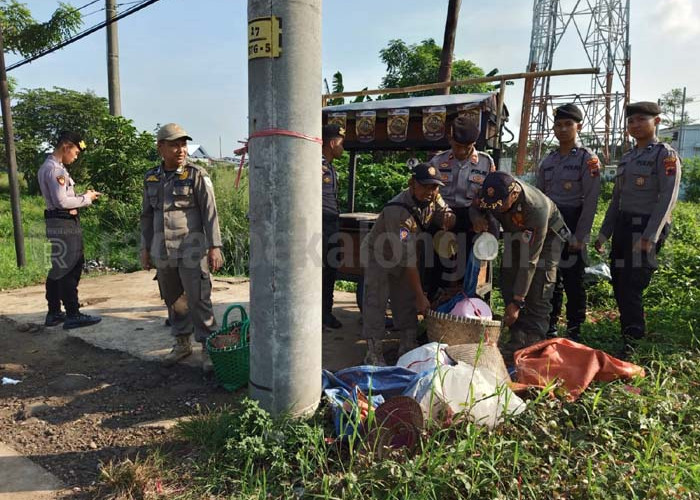 Pedagang Durian 'Celeng' di Exit Tol Kandeman Menghilang, Ternyata Ini Penyebabnya