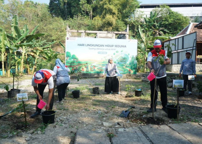 Peringati Hari Lingkungan Hidup, Pertamina Tanam 1.000 Pohon dan Salurkan Bantuan Rp150 Juta di Bantul
