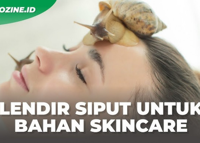 Manfaat Lendir Bekicot untuk Kesehatan Kulit, yang Sayangnya Diabaikan