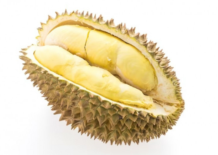 Cegah Badan Lemas, Ini Dia 12 Manfaat Buah Durian untuk Tubuh 