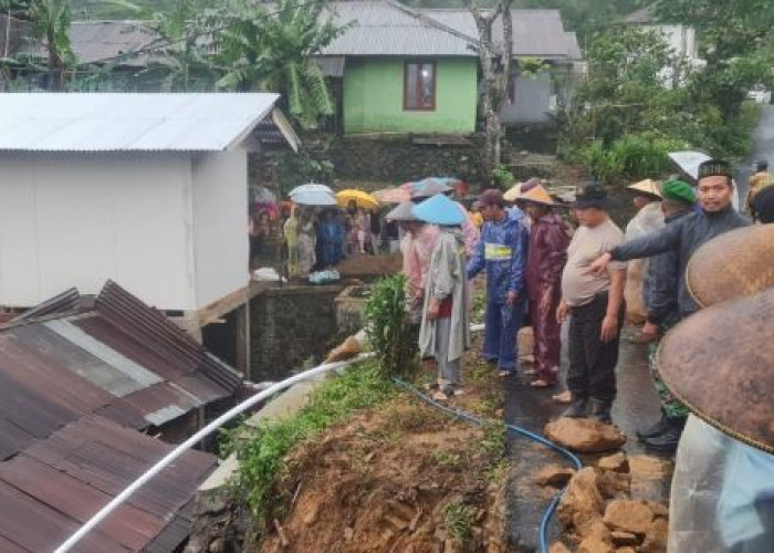 Turap Jalan Longsor, 3 Rumah di Petungkriyono Rusak, Ini Langkah Tim Kampung Siaga Bencana