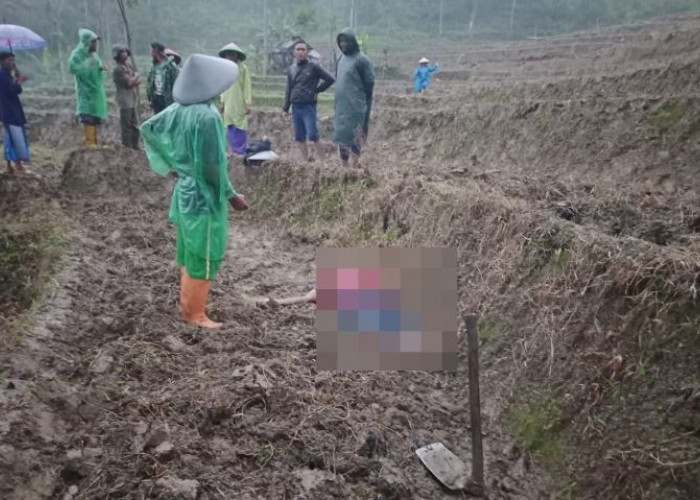 Warga Desa Garungwiyoro di Pekalongan Ditemukan Tewas di Sawah