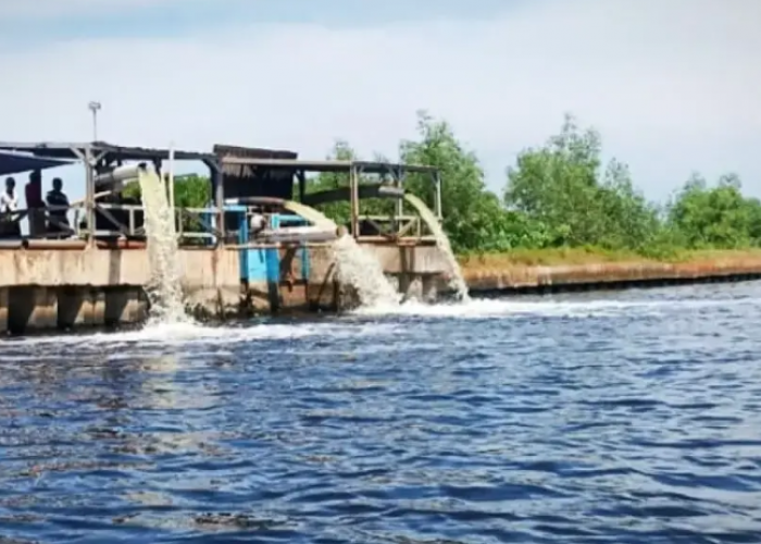 Pemkab Pekalongan Tuntaskan Tahapan Administrasi Bendung Gerak Jeruksari, Upaya Serius Atasi Rob Pesisir