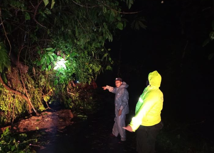 2 Titik Longsor Tutup Jalur Karanganyar-Lebakbarang di Pekalongan