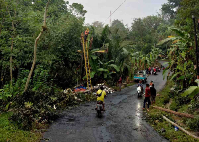 Cuaca Ekstrem di Batang dan Pekalongan, PLN Utamakan Keselamatan Warga dan Pemulihan Pasokan Listrik