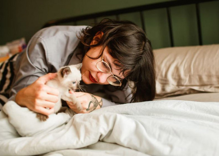 Bagaimana Cara Agar Kucing Mau Tidur dengan Kita? Tidak Sulit Kok, Cukup Ikuti 6 Cara Mudah Berikut!