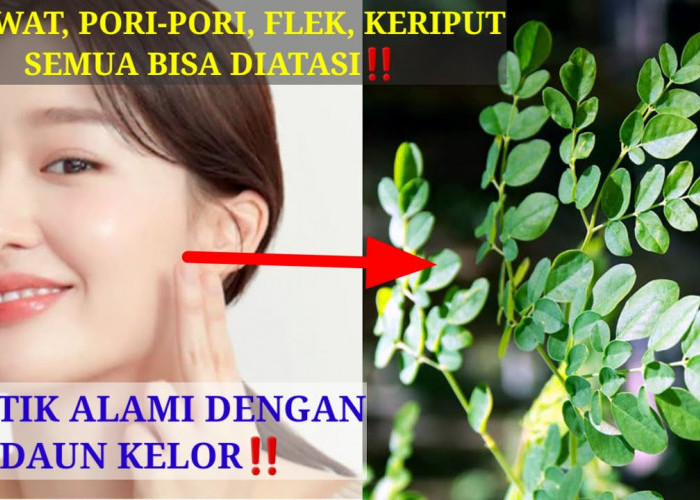 Ternyata Ini Cara Membuat Masker Daun Kelor untuk Flek Hitam, Hanya 3 Langkah Bikin Wajah Glowing Awet Muda!