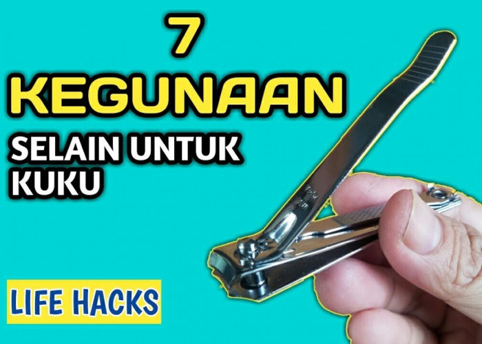 Inilah 7 Kegunaan Lain dari Gunting Kuku Dalam Kehidupan Sehari-hari, Apa Saja?