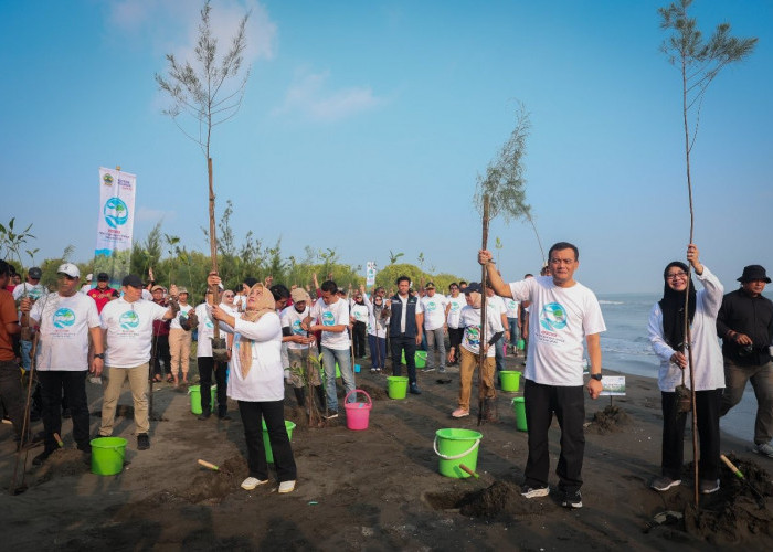 Program Mageri Segoro, Ikhtiar Bersama Menjaga Masa Depan Pesisir Jateng