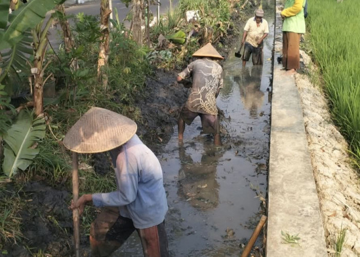 IP3A Kalijogo Tolak Pengeringan, Minta Dikaji Ulang