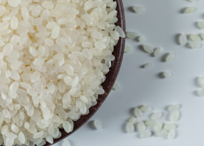 No Hoax! Nasi Shirataki Efektif Menurunkan Berat Badan, Tertarik Mencoba? Simak Penjelasan Ini Dulu
