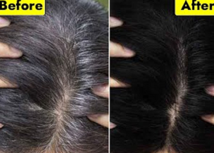 3 Bahan Alami yang Menghitamkan Rambut Beruban dan Cara Pakainya untuk Rambut Hitam Berkilau