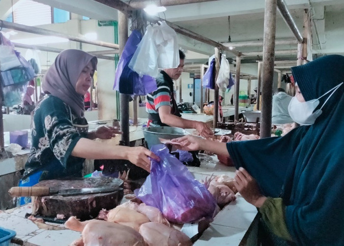 Awal Ramadan Harga Ayam di Pasar Batang Tembus Rp44 Ribu Per Kilogram