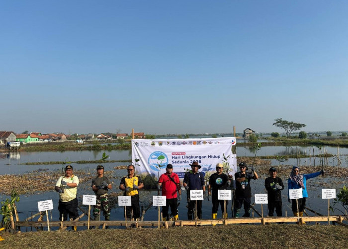 Dukung Hari Lingkungan Hidup Sedunia 2026, PT BPI Siapkan 30.000 Bibit Mangrove untuk Kawasan Pesisir Batang