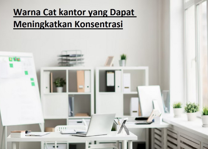 Psikologi Warna: Mampu Tingkatkan Produktivitas! Inilah 4 Warna Cat kantor yang Dapat Meningkatkan Konsentrasi