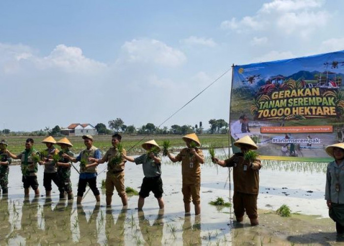 Kemarau Panjang Mengancam Tanam Padi, DKPP Kabupaten Pekalongan Genjot Produksi dengan Intervensi Kementan