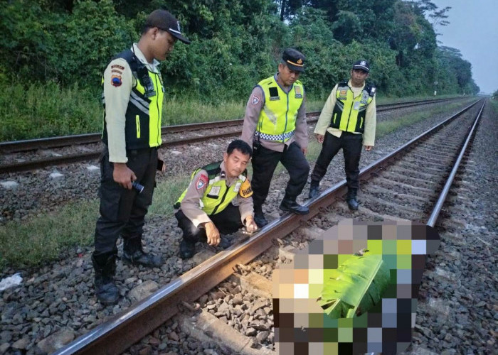 Pria Tanpa Identitas Tewas Tersambar KA Blambangan Express di Batang 