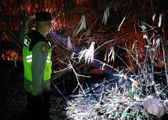 Kebakaran Lahan 2 Hektare di Sumurjomblangbogo Pekalongan, Api Cepat Merembet di Tengah Gelap Malam