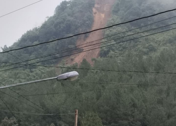 Longsor di Bukit Gunung Beser Petungkriyono Viral di Medsos, Camat Pastikan Jauh dari Permukiman