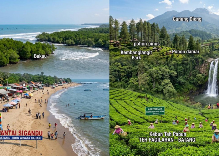 Menjelajahi Pesona Wisata Alam Kabupaten Batang: Dari Pantai hingga Lereng Dieng