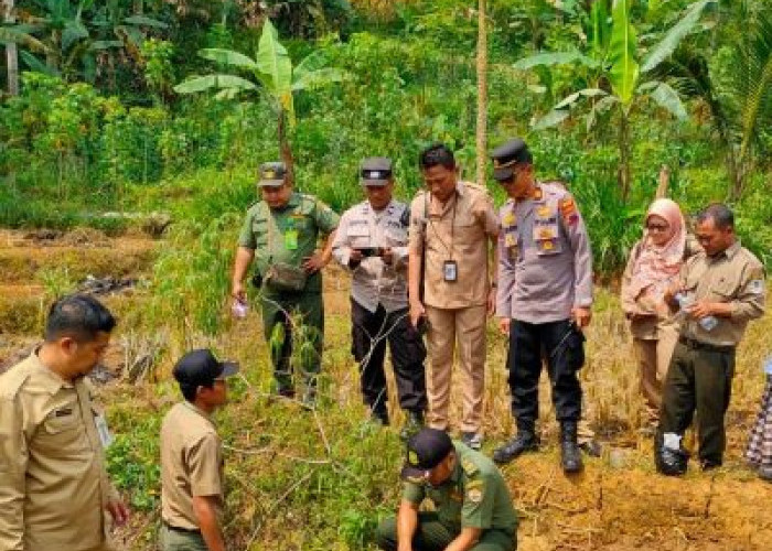 9 Ekor Kambing Mati di Desa Sodong Batang Bukan Akibat Serangan Macan, Ini Temuan Tim Identifikasi di Lapangan