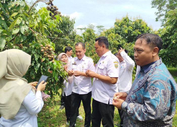 Pemdes Bligorejo Gelar Festival Kelengkeng dan Produk UMKM, Dukung Ketahanan Pangan dan Potensi Ekonomi Desa