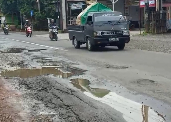 Jalan Provinsi Bojong–Kajen Rusak Parah, Lubang Tertutup Genangan Air Ancam Keselamatan Pengendara