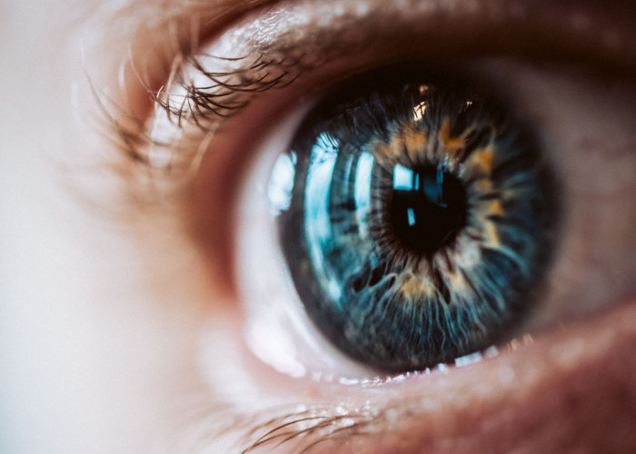 Wajib Tahu! 6 Cara Kerja Mata Manusia  untuk Mendapatkan Penglihatan Sempurna, Lengkap dengan Anatomi Mata