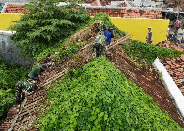 Kodim Pekalongan Perbaiki Rumah Tak Layak Huni Milik Warga, Kondisi Rumah Dipenuhi Akar Pohon dan Tanaman Liar