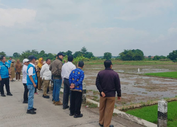 PSEL Pekalongan Raya Segera Ditetapkan, Tim Pusat Tinjau Kesiapan Lahan dan Infrastruktur