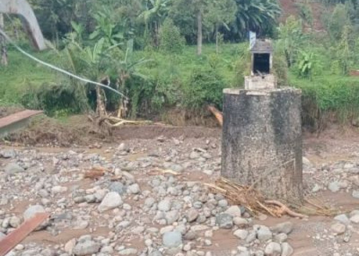 Talang Silawang Ambrol, 375 Hektare Sawah di Doro Pekalongan Terancam Kekeringan