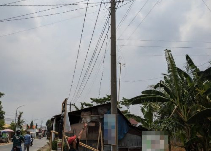 Tersengat Listrik saat Perbaiki Travo, Karyawan PLN di Kabupaten Pekalongan Alami Luka Bakar 60 Persen