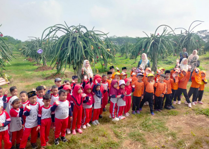 Tamasya ke Kebun Buah Tragung, Pelajar RA Arrokhmah Kauman Batang Diajak Rutin Konsumsi Buah