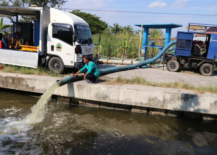 Pemprov Jateng Optimalkan Pompa, Rob Sayung Demak Mulai Surut