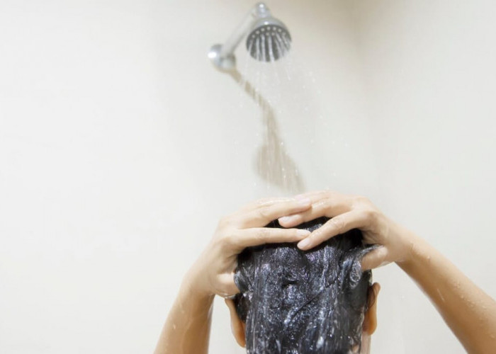 3 Shampo Anti Uban Terbaik, Efektif Menghitamkan Rambut Dalam Sekali Pakai, Usir Rambut Putih Tanpa Dicabut